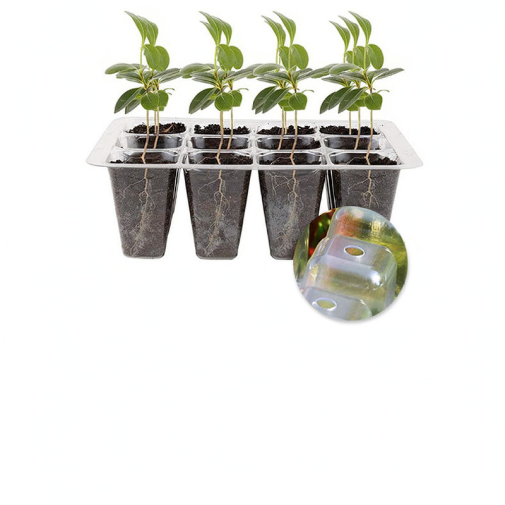 Indoor Garden Kit - Plant Grow Light Starter Kit High
