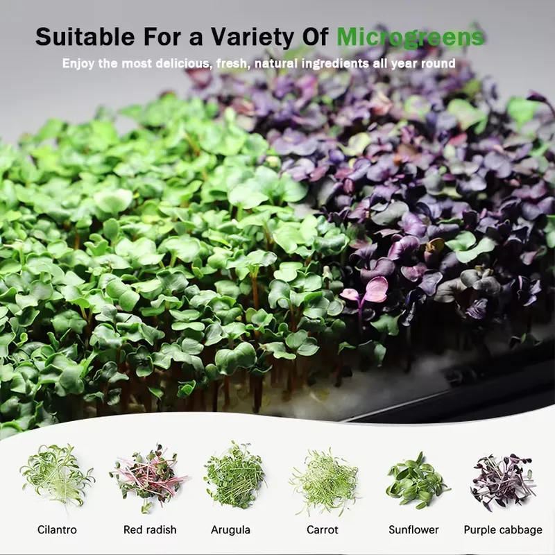 Microgreens Self Watering Hydr - Self Watering Planter ulasan dan harga