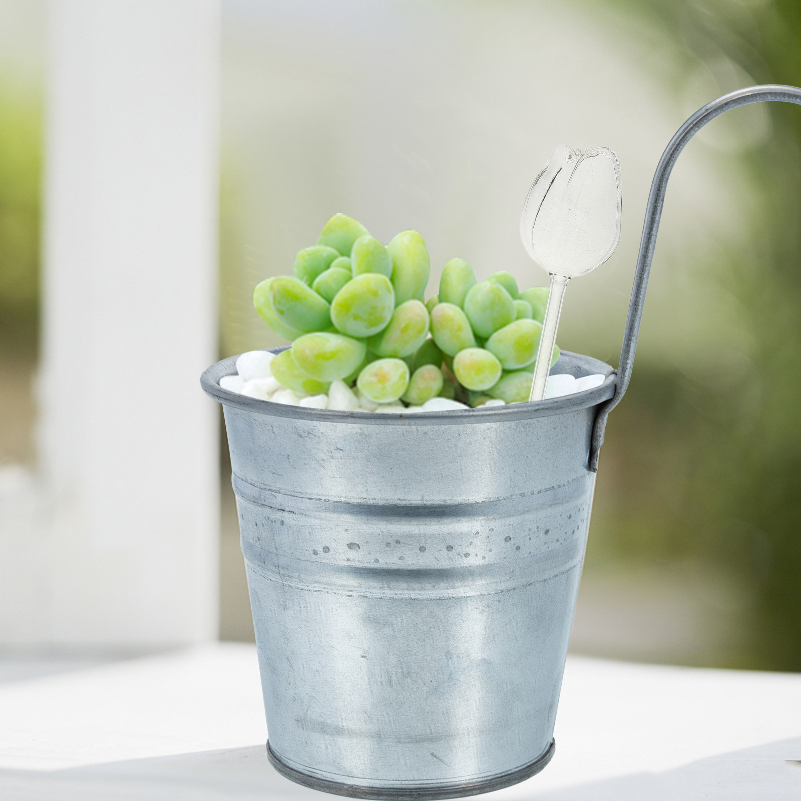 2Pcs Premium High Borosilicate - Self Watering Planter ulasan dan harga