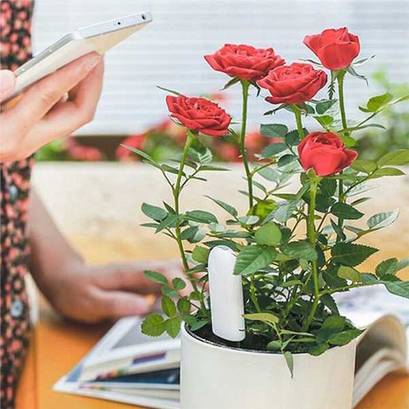 ABVG-Flora Smart Flower Monito - Plant Monitor ulasan dan harga