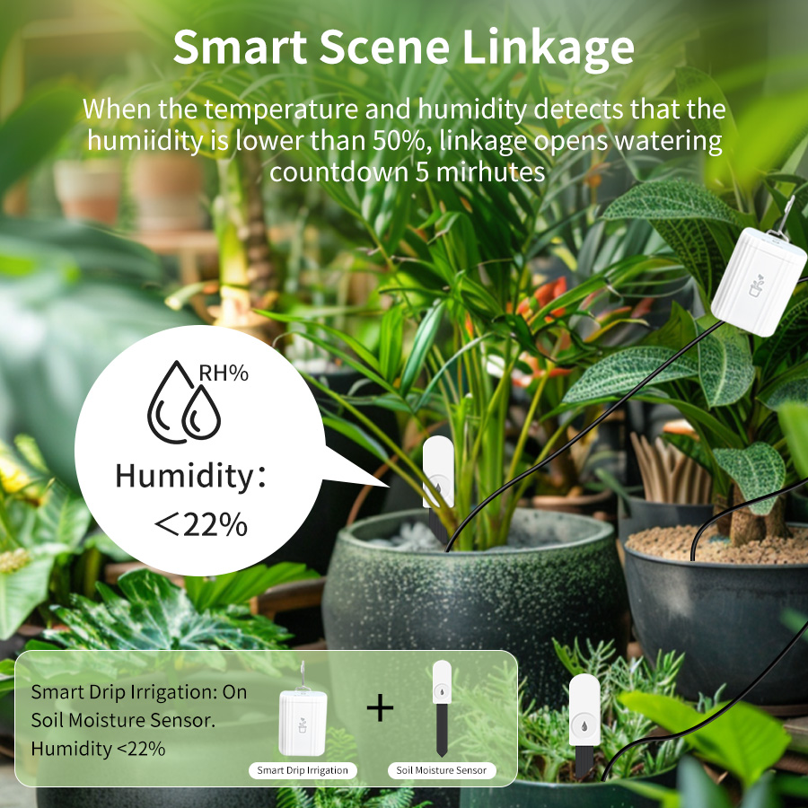 Smart Zigbee 3.0 Soil Tester H - Plant Sensor ulasan dan harga