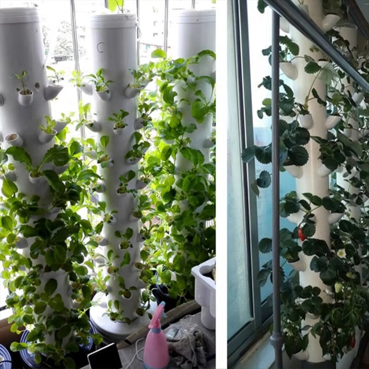 Hydroponic Vertical Tower Cont - Hydroponic Tower ulasan dan harga