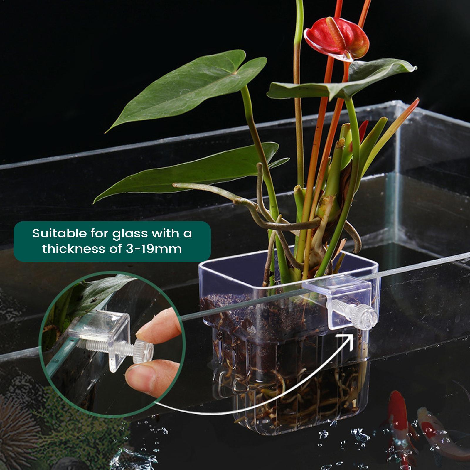 Aquarium Plant Holder Transpar - Hydroponic Grow Pod ulasan dan harga