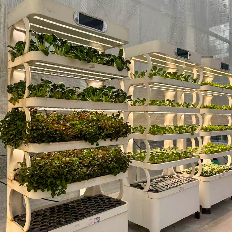 Intelligent Indoor Garden Plan - Smart Garden System ulasan dan harga