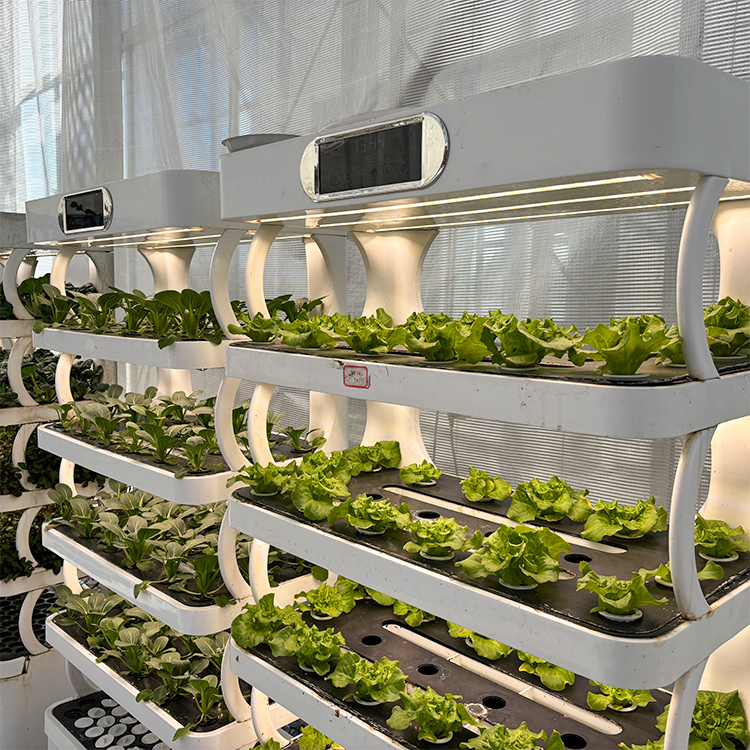 Intelligent Indoor Garden Plan - Smart Garden System ulasan dan harga