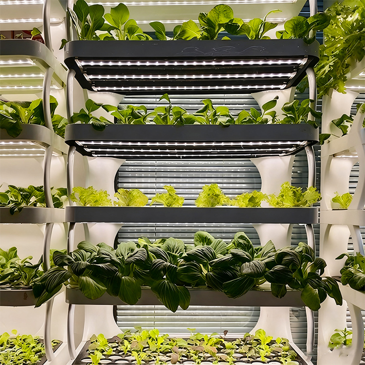 Intelligent Indoor Garden Plan - Smart Garden System ulasan dan harga
